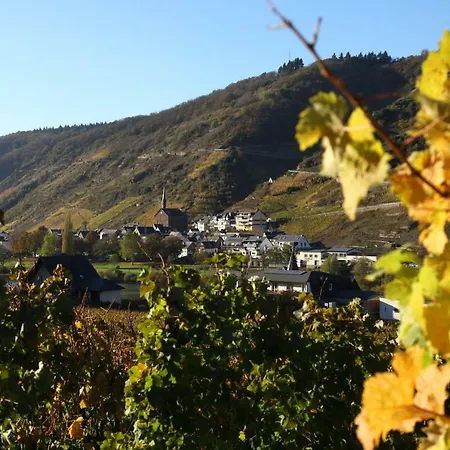 Appartement Moselblick-stein