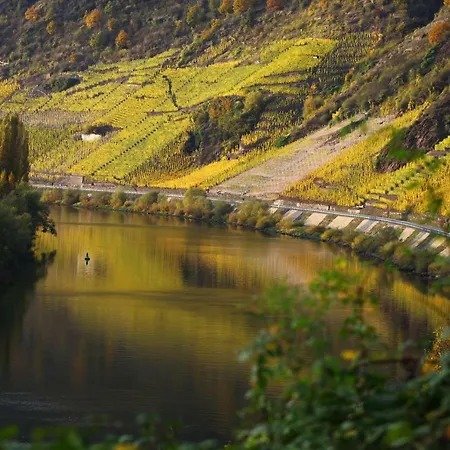 Appartement Moselblick-stein Valwig