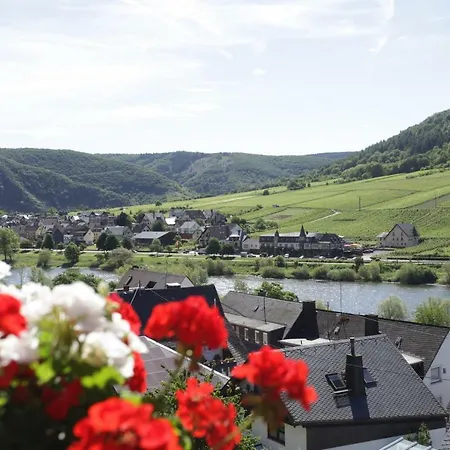 公寓 Moselblick-stein *