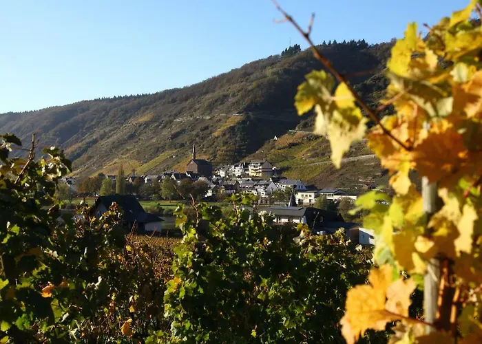 Appartement Moselblick-stein