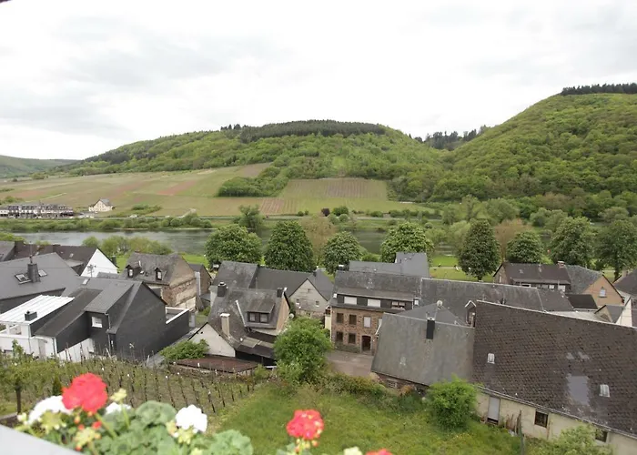 Moselblick-stein Apartamento
