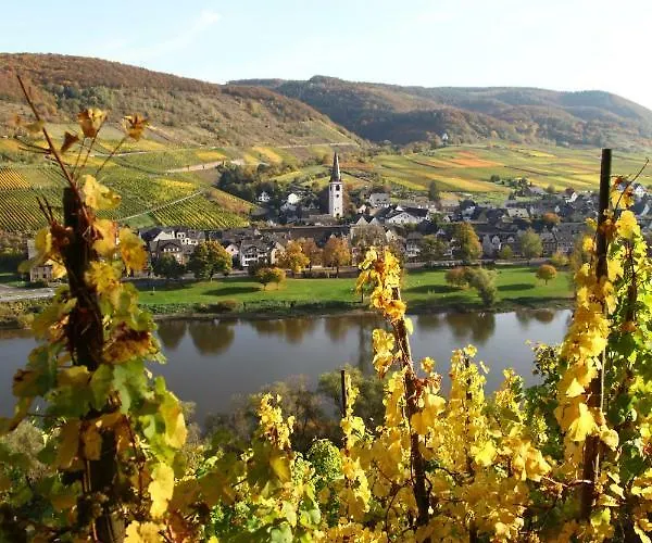 Appartement Moselblick-stein Valwig