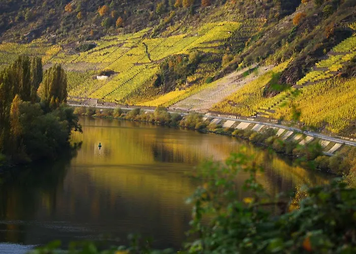 Apartamento Moselblick-stein Valwig