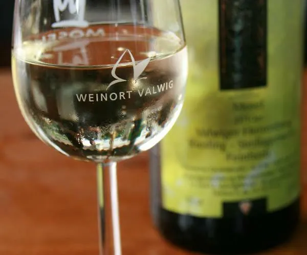 Moselblick-stein * Valwig