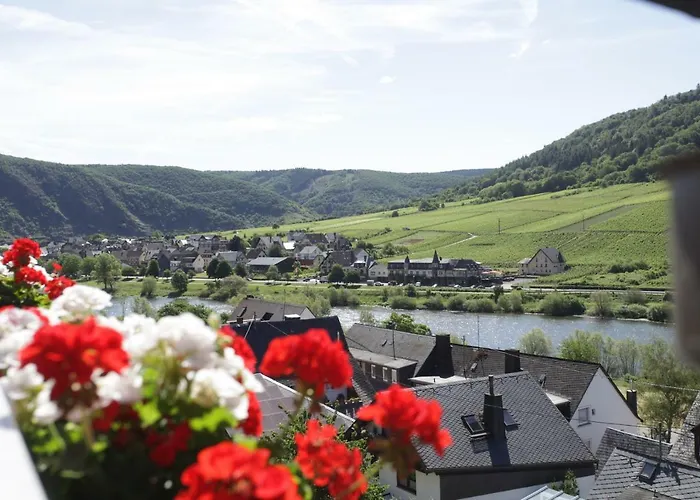 Appartement Moselblick-stein *